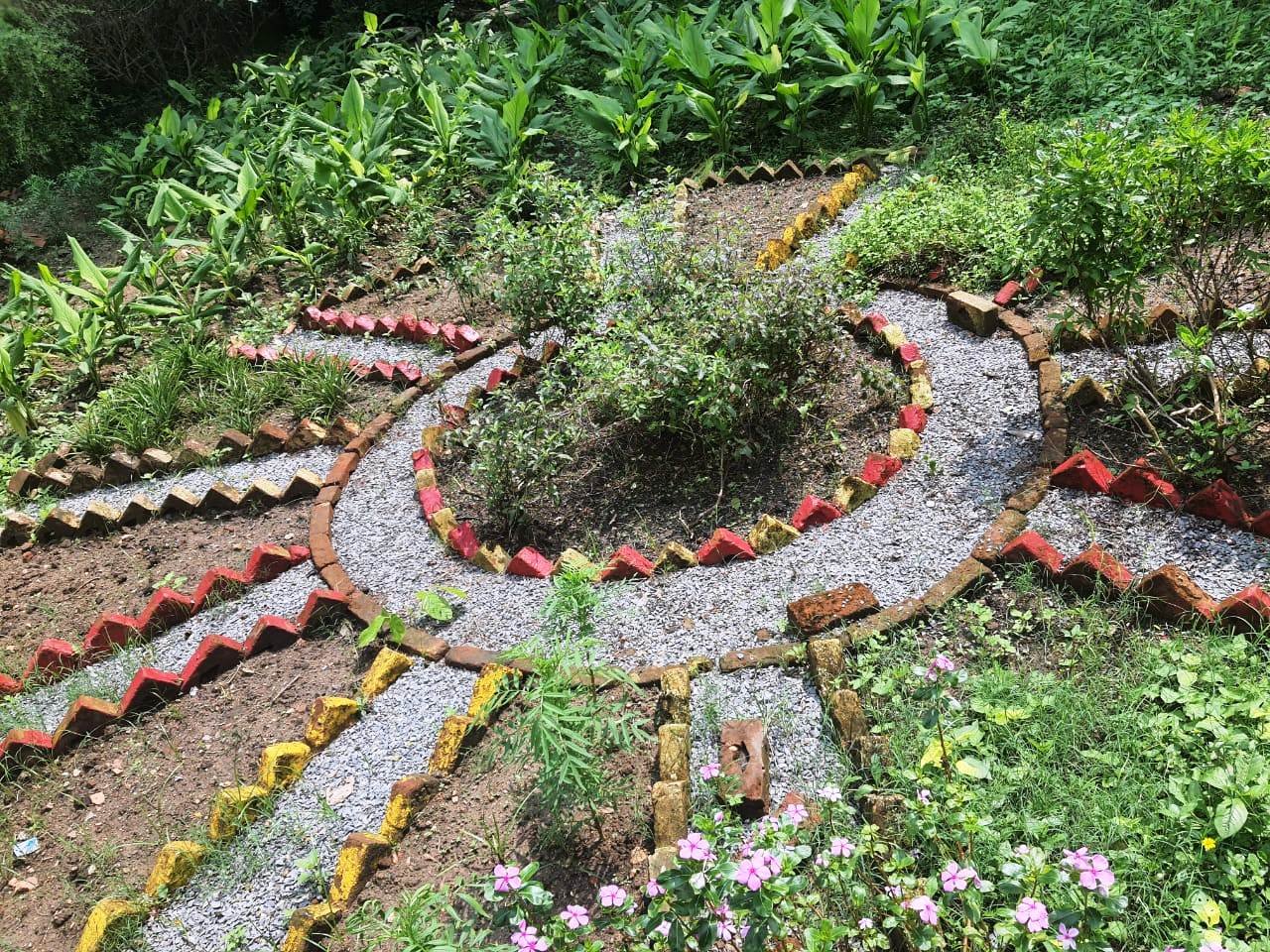 Community Health Garden pathway lined with medicinal plants, Chhandwal