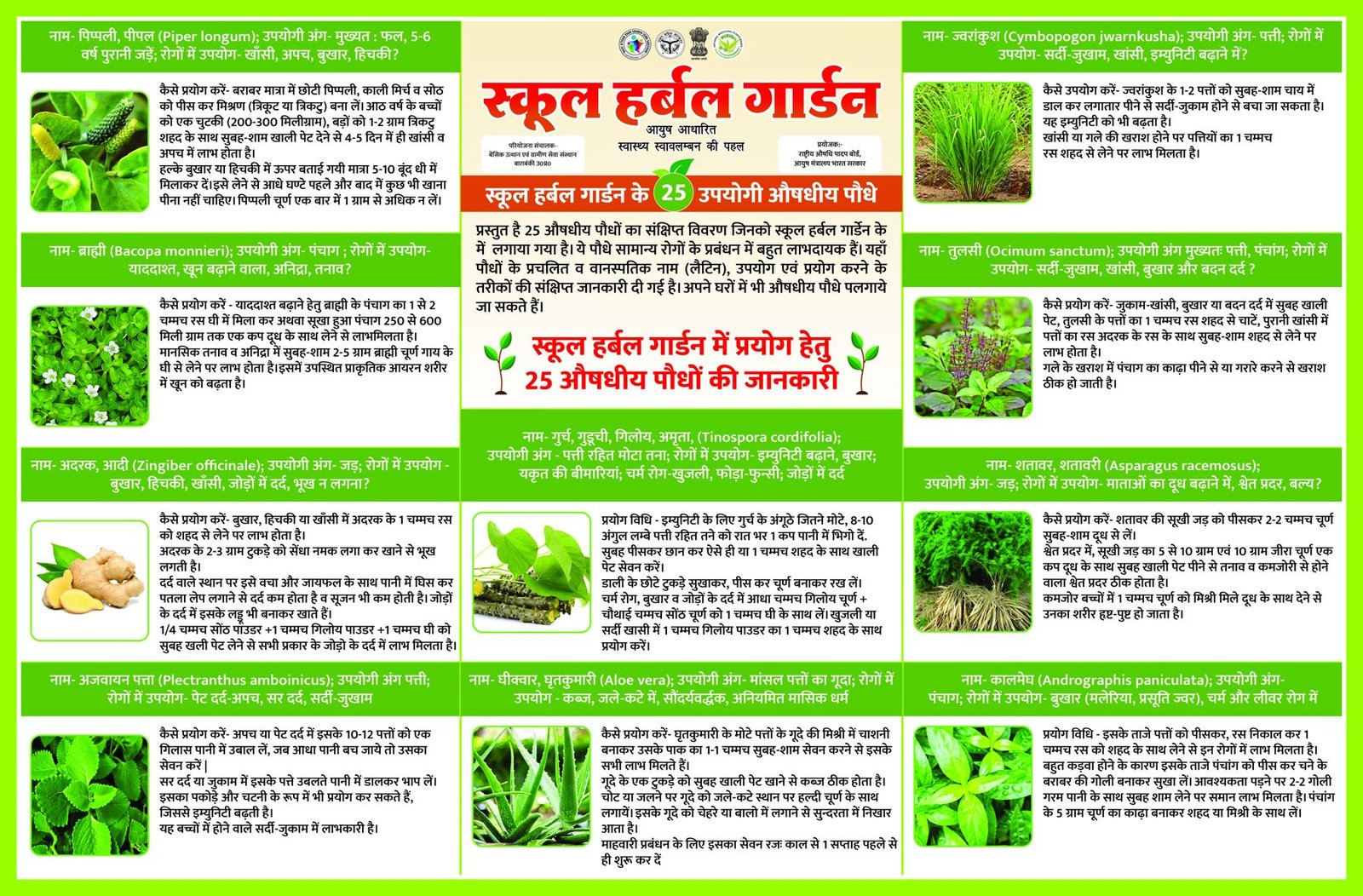 School Herbal Garden medicinal plants reference chart, page 2