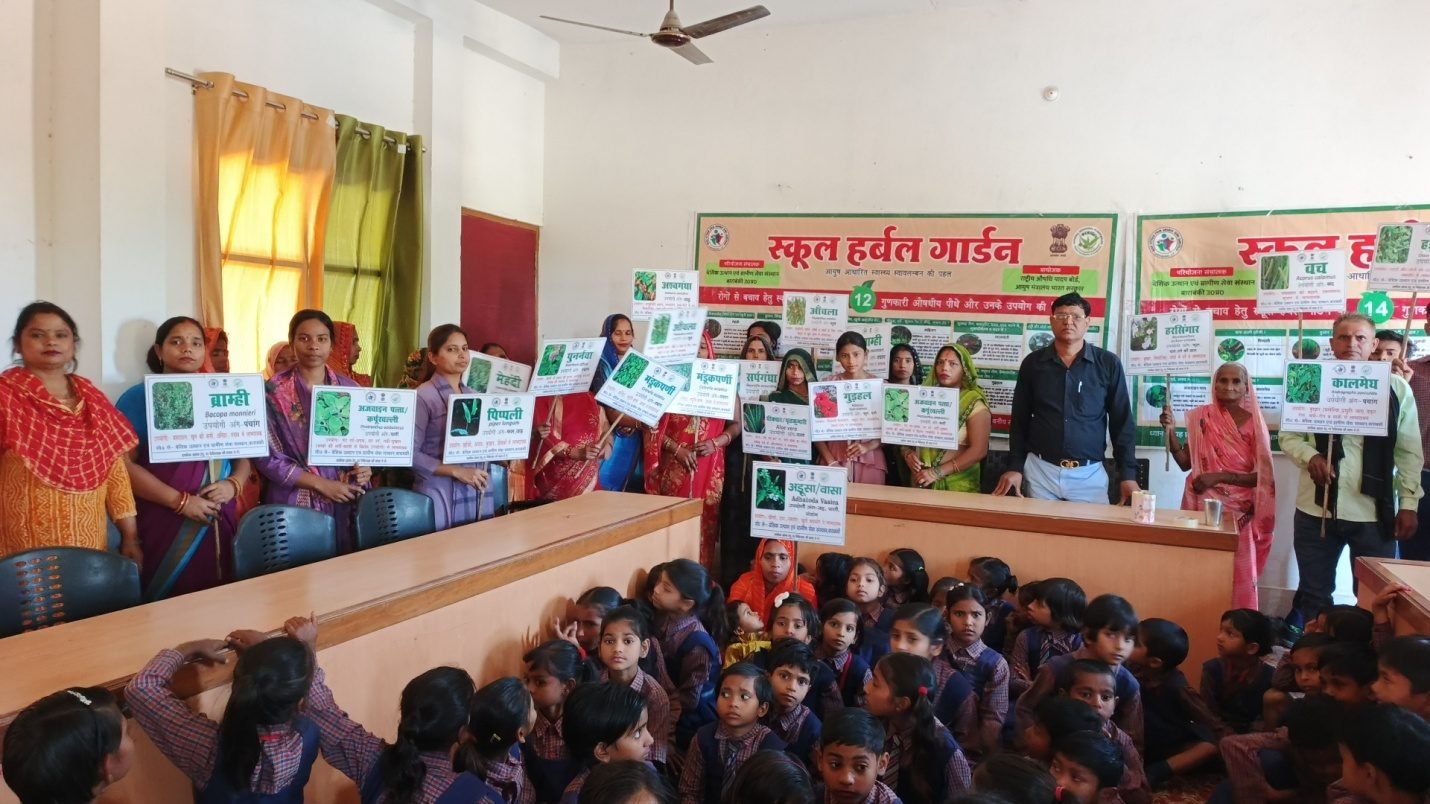 School Herbal Garden activity photo