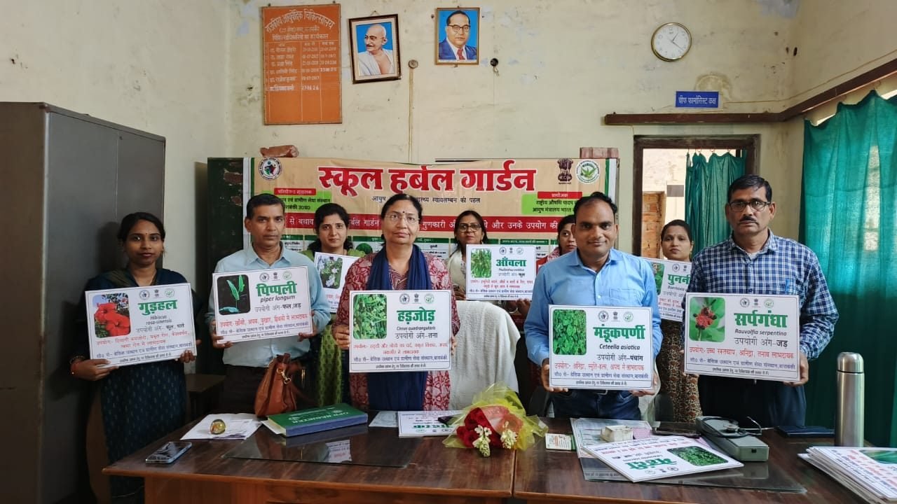 School Herbal Garden activity photo