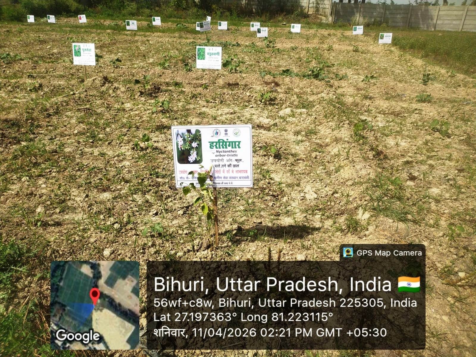 School Herbal Garden site, Bihuri, Barabanki