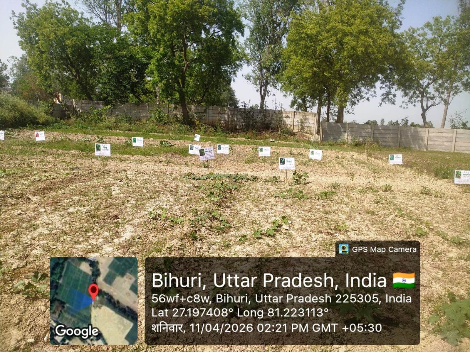 School Herbal Garden activity photo