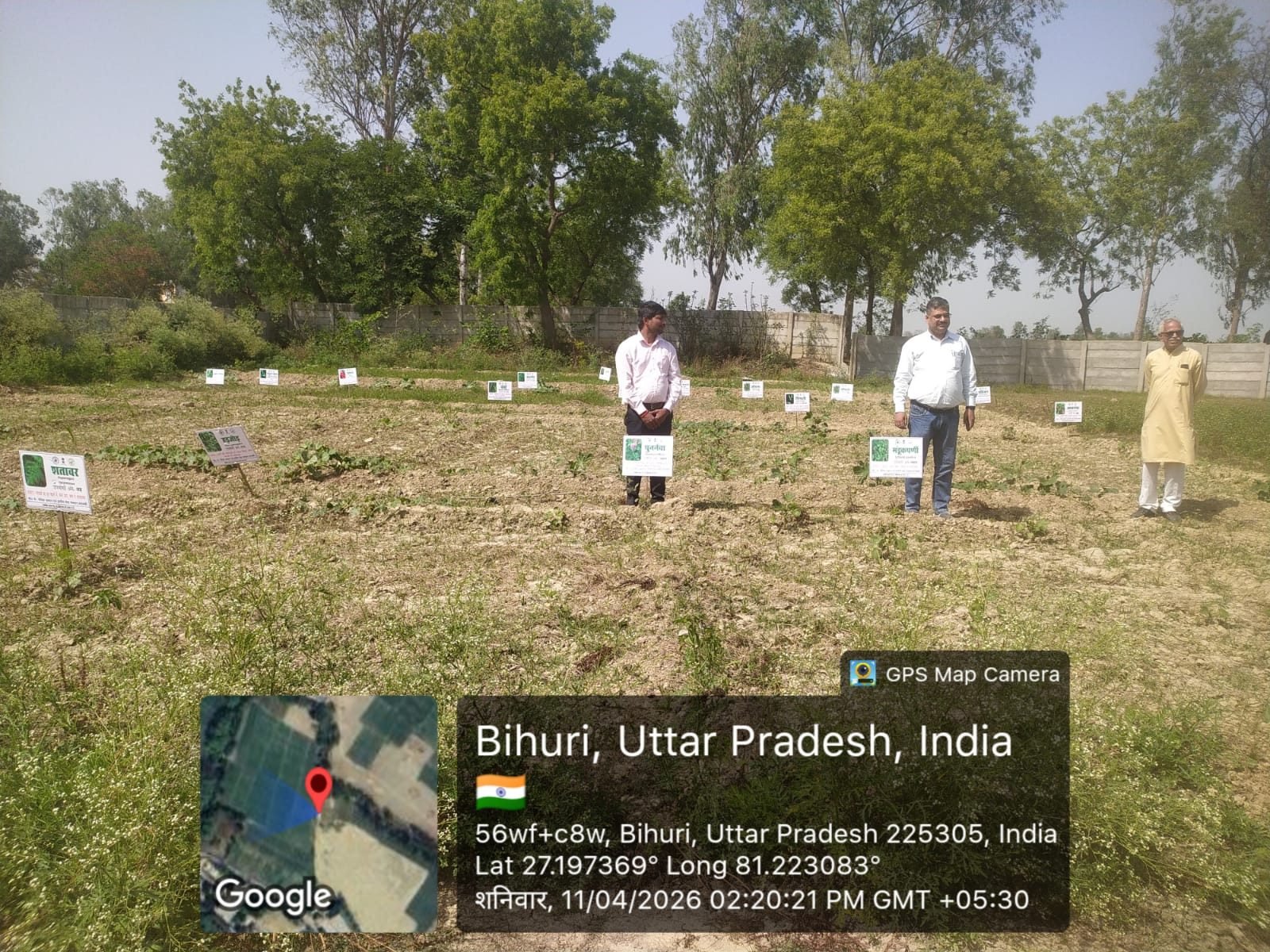 School Herbal Garden activity photo